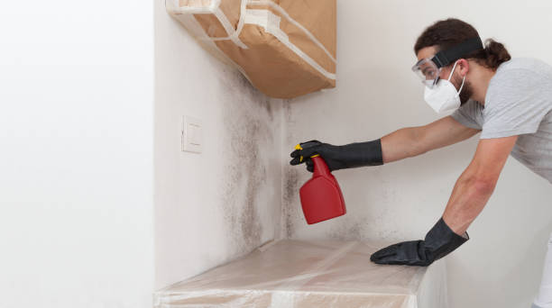 Professional Basement Mold Remediation technician working in Cherry Hill, VA